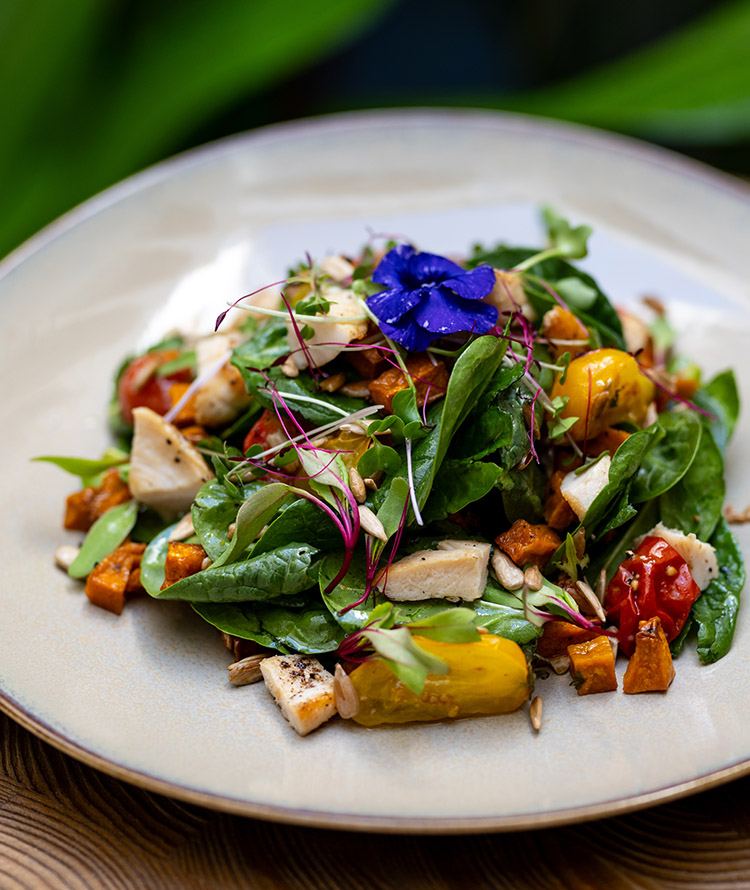 Vibrant seasonal salads